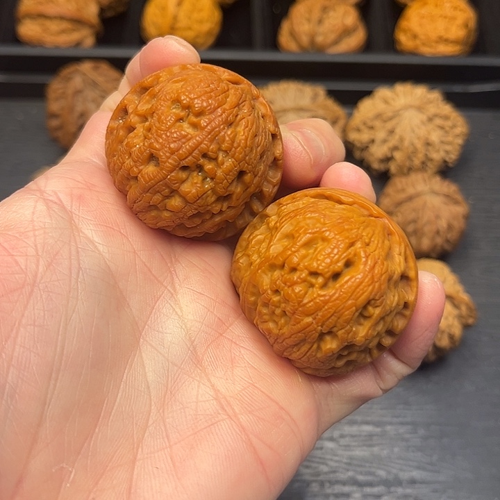 核桃秦岭山脉中段怒江