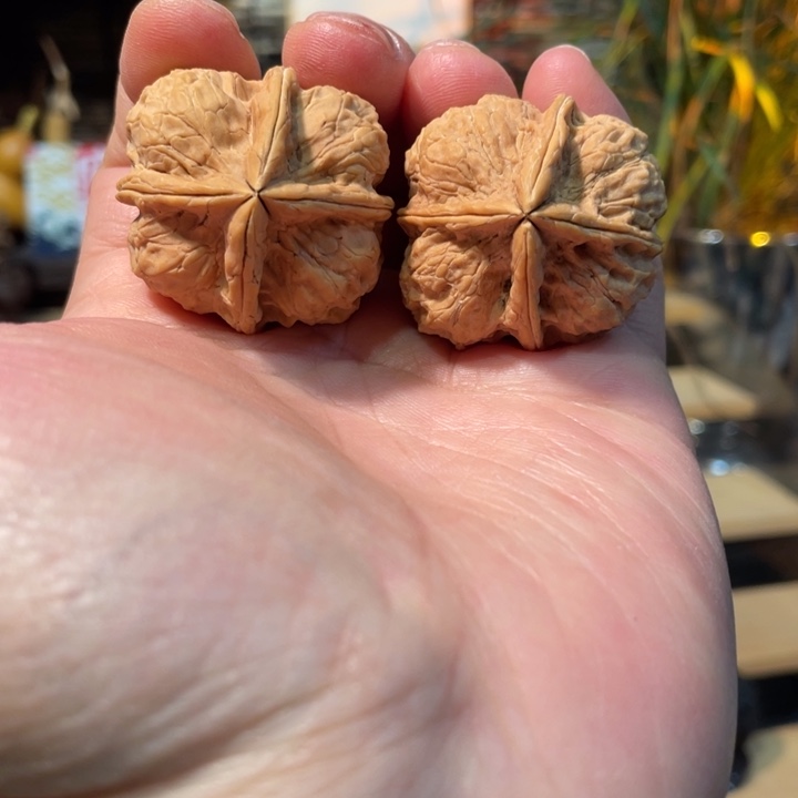 把件文玩核桃编号81