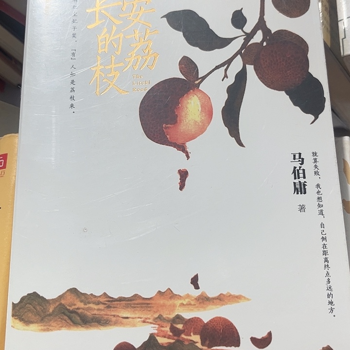 长安的荔枝全新推荐