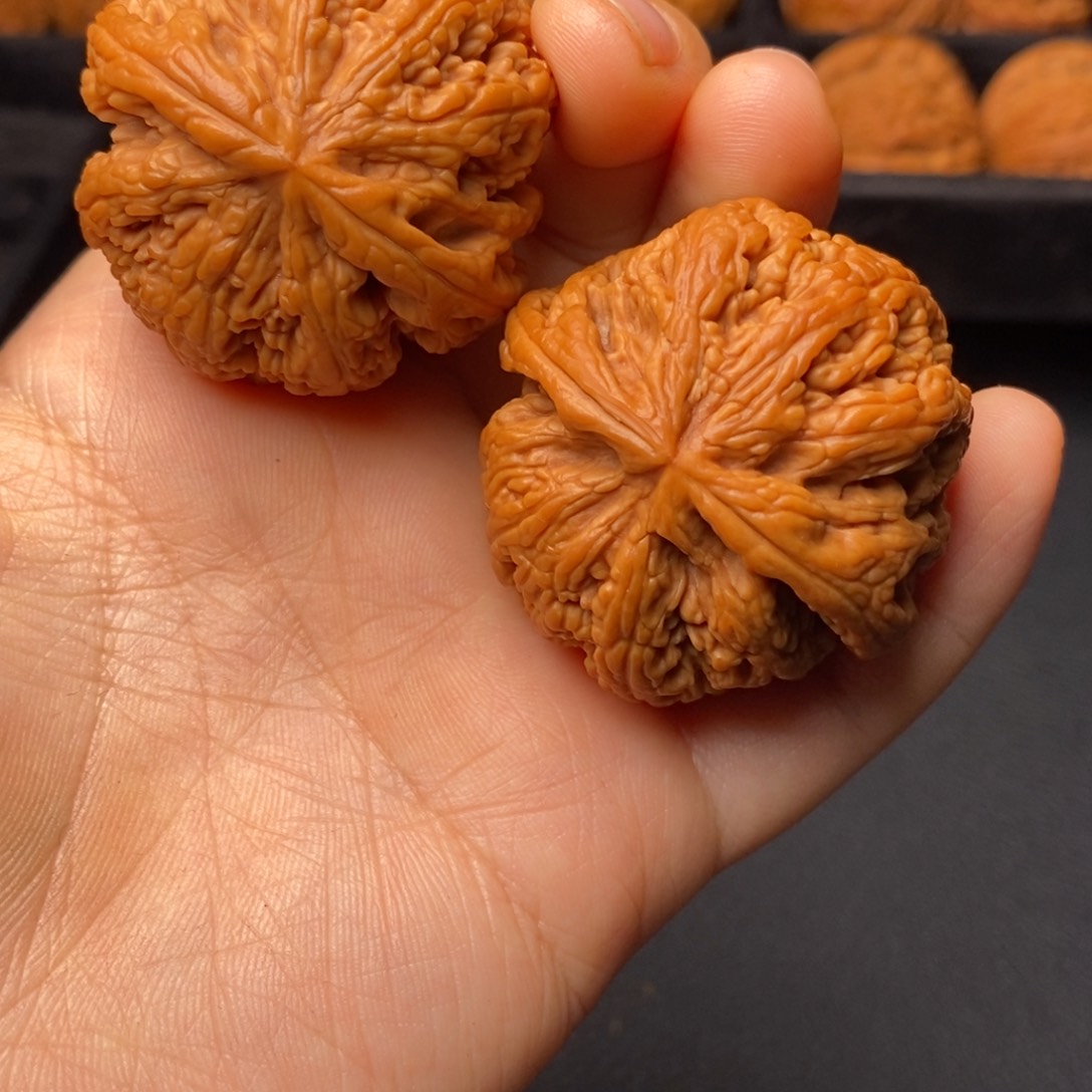 文玩核桃把件秦岭野生核桃
