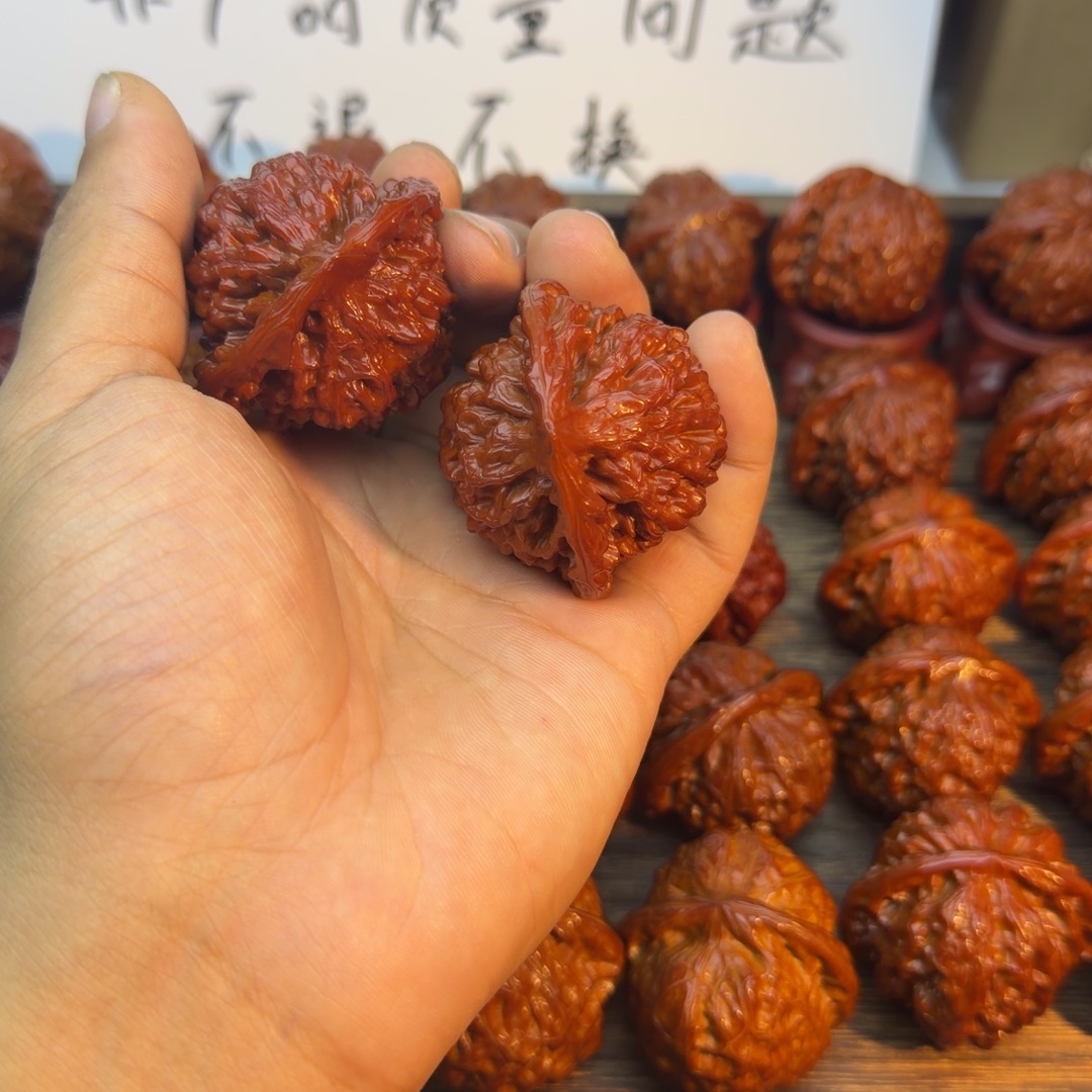 2***子菩提籽类官帽宝贝