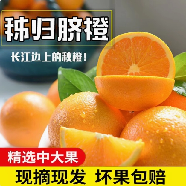 【正宗秭归伦晚】现摘现发新鲜 坏果包赔 细腻鲜甜橘子