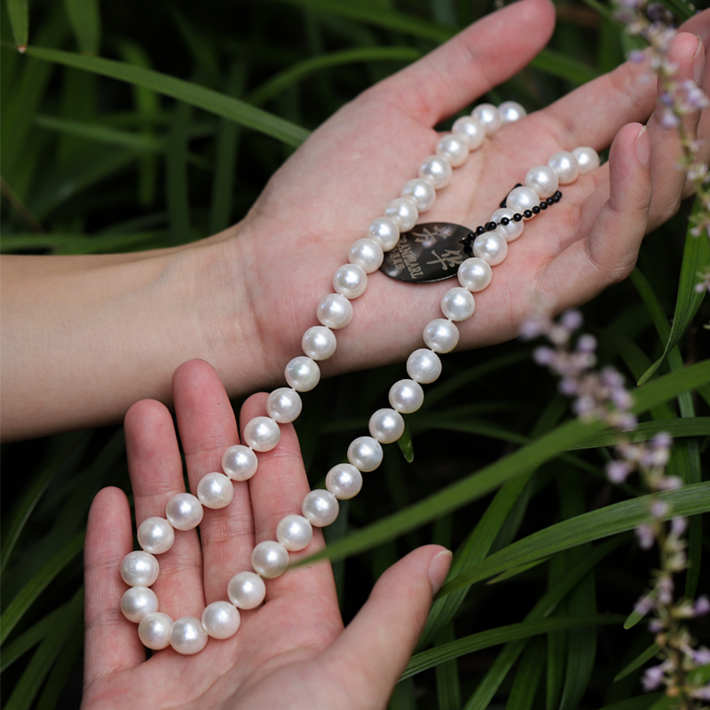 《大熊猫》 无核珍珠 极强光 （ 塔尖品质 北大证书）9.3-10.3mm