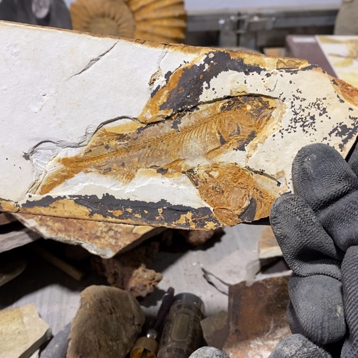 有机玻璃工艺品收藏品摆件