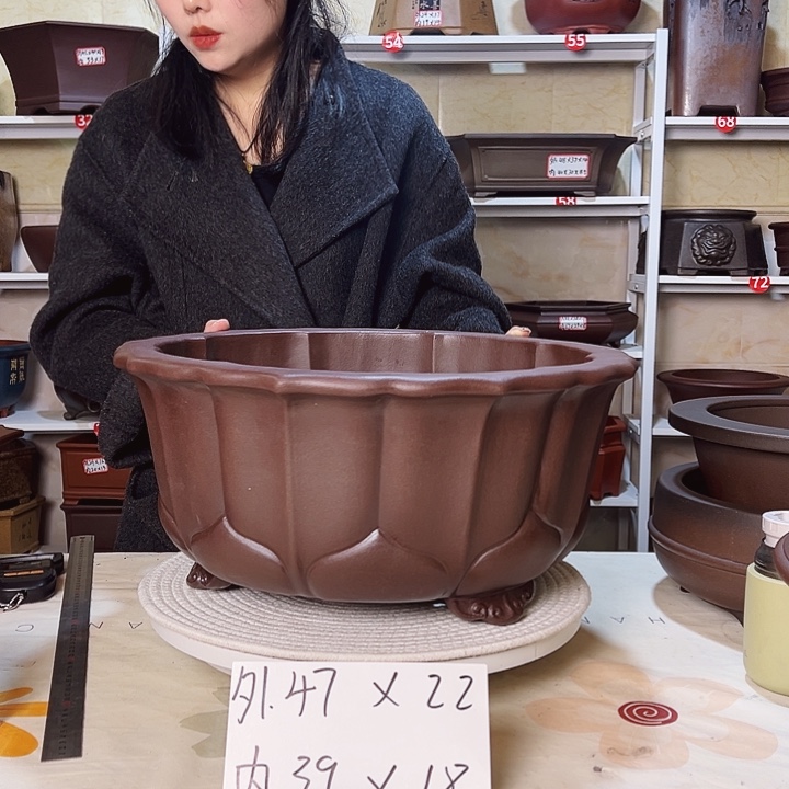 紫砂花盆紫砂花盆