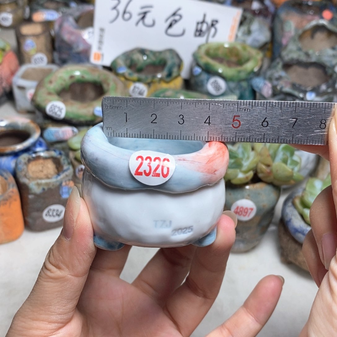 拍3送一个小礼物
