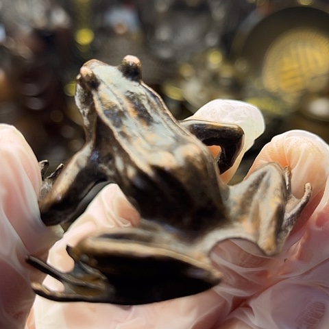 铜666666666666666666