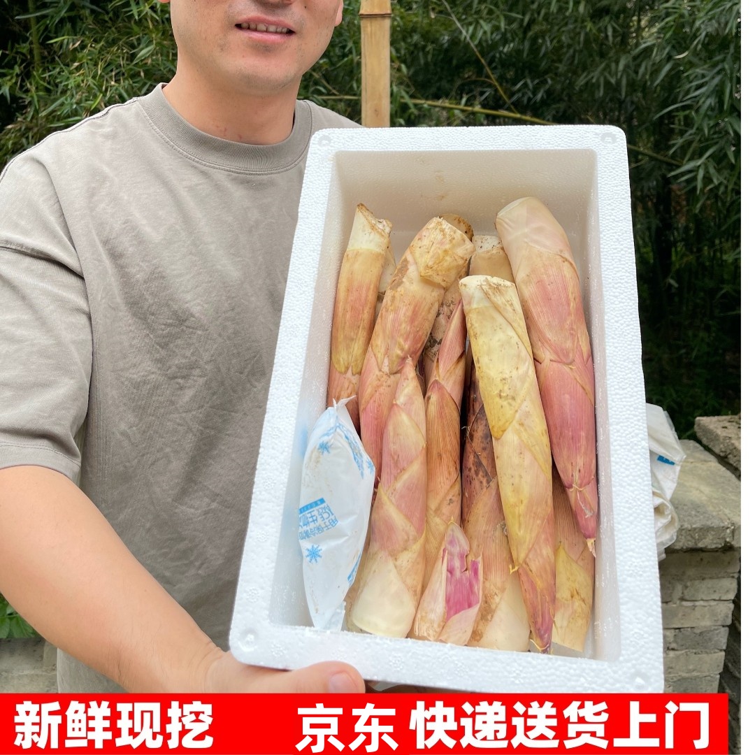 正宗临安春笋竹笋5斤3斤新鲜现挖去根发时令蔬产地直发顺丰快递