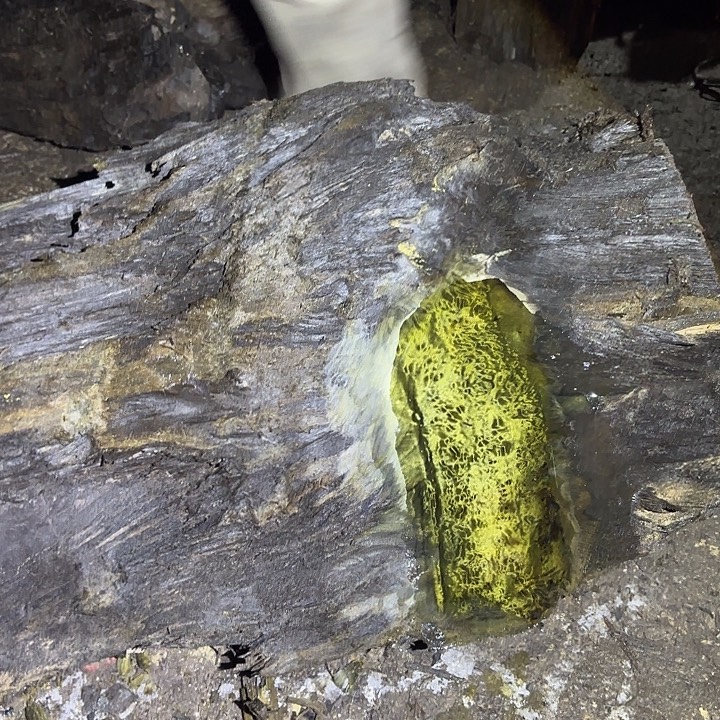 乌木金丝楠摆件毛料