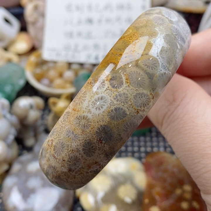 硅化珊瑚（珊瑚玉）颈饰未镶嵌55