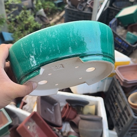 在这里可以看的了的是一片