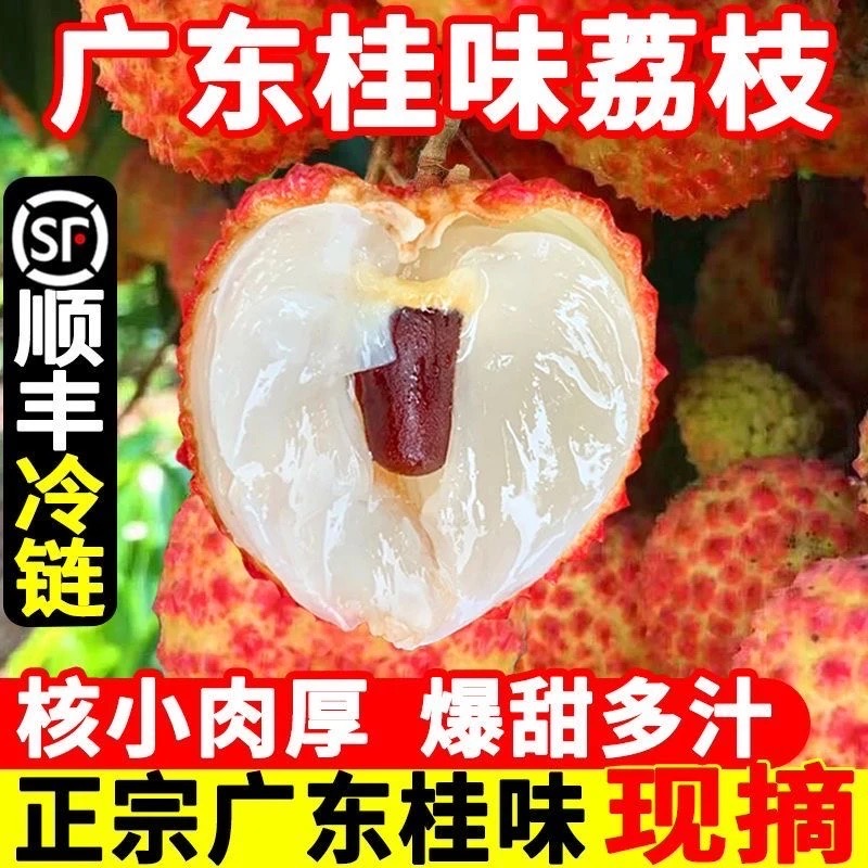 【顺丰/京东冷链】广东桂味荔枝茂名高州新鲜现摘应季水果整箱K