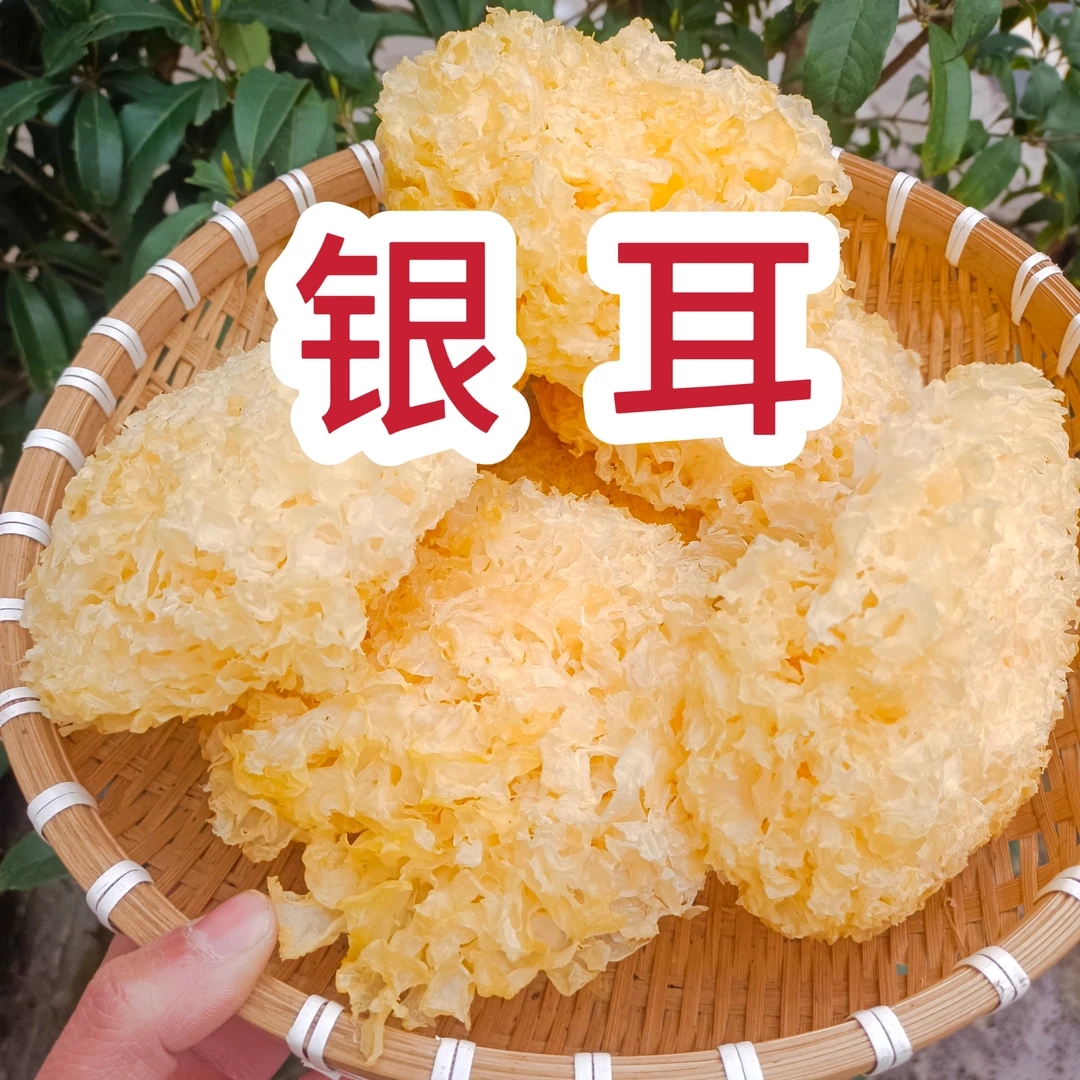 【银耳】大朵银耳干货可煲汤做银耳羹