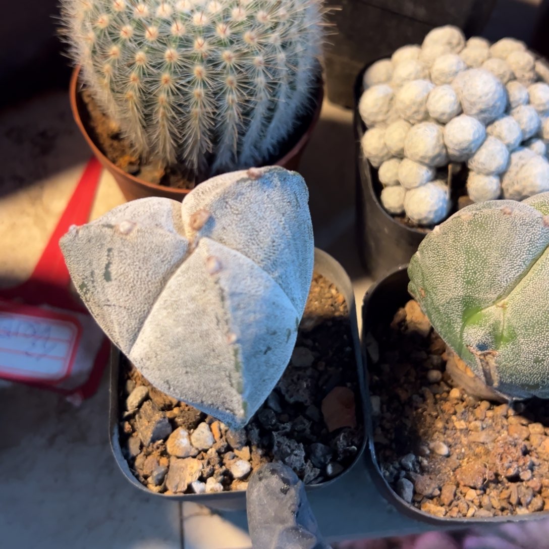 日***落哈哈哈哈哈哈哈哈哈哈哈哈