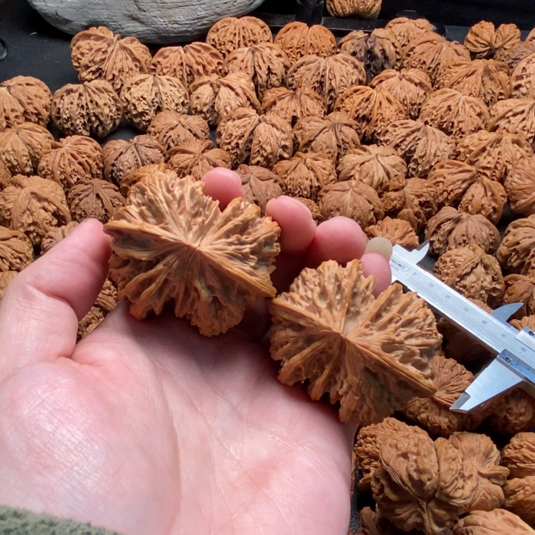 把件文玩核桃51野牛