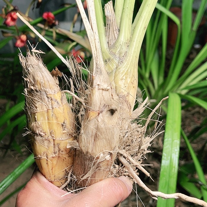 完全开放0000000000000