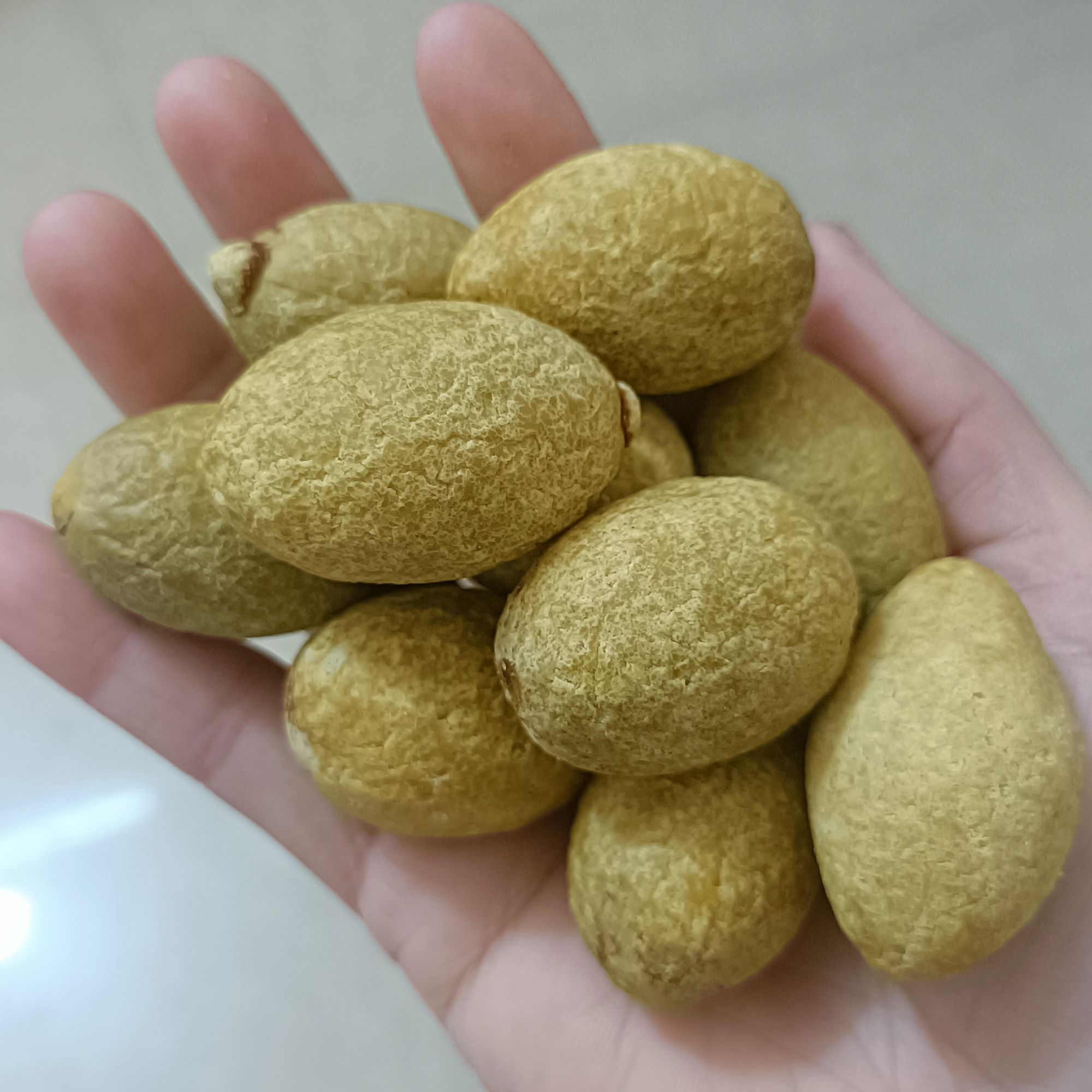 咸橄榄 煲汤 炖汤