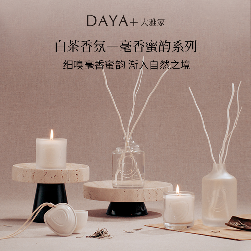 DAYA+大雅家白茶香氛车载无火扩香