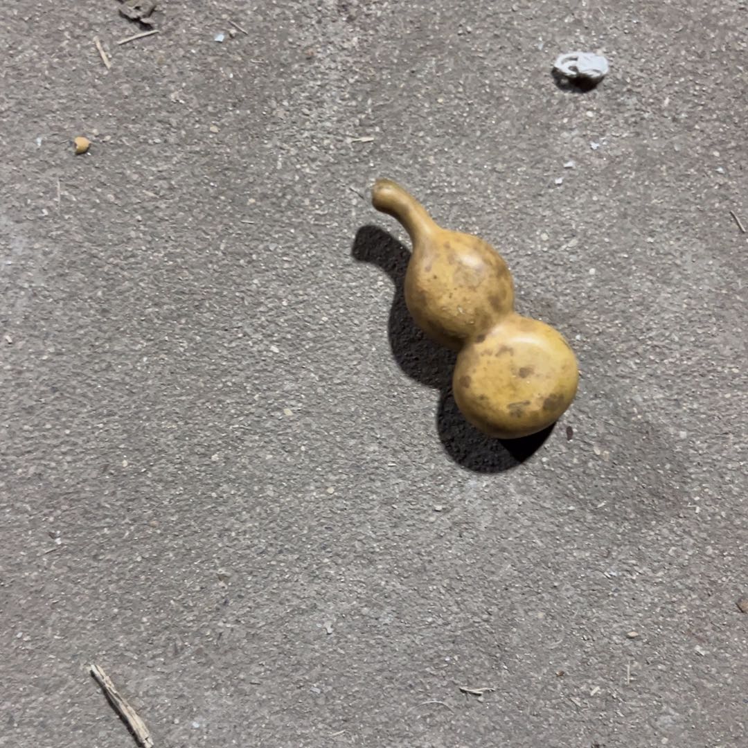 葫芦明轩葫芦哈哈哈