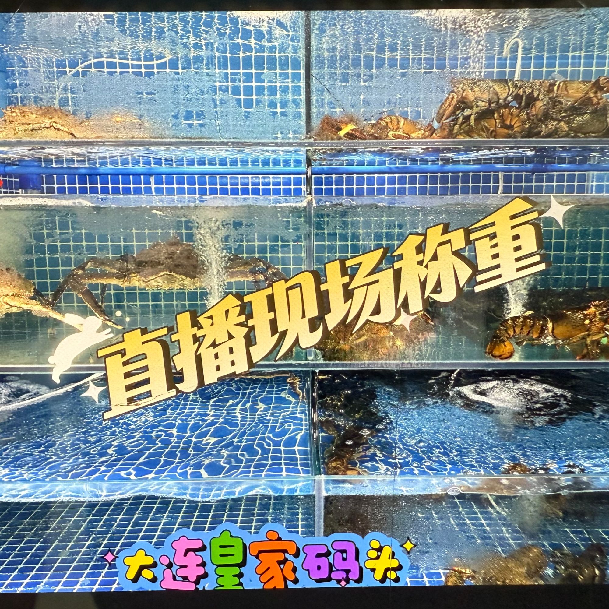 断氧飞蟹/甲红蟹/皮皮虾 保鲜不保活