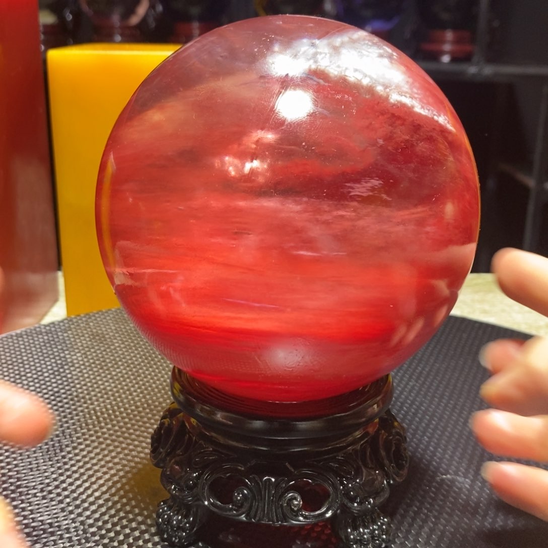 茶宠我在这里等你回来