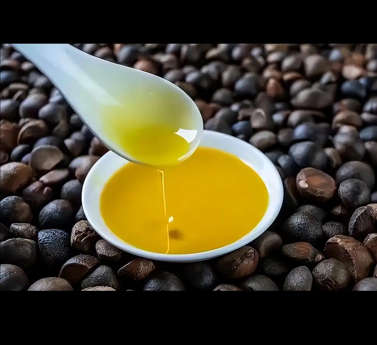 野生山茶树籽-特产拍品