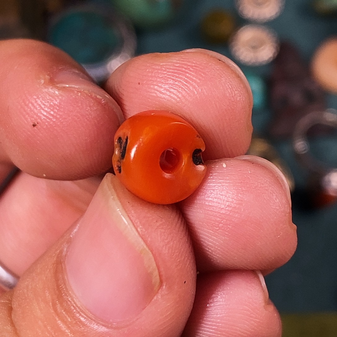 之***后六道木啦啦啦啦啦啦啦啦啦啦啦