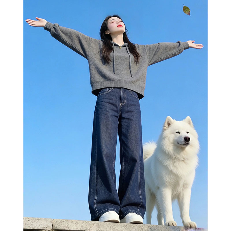 兹伊翰【格雷系】简约百搭纯色针织衫女士2025秋冬新款气质连帽毛衣