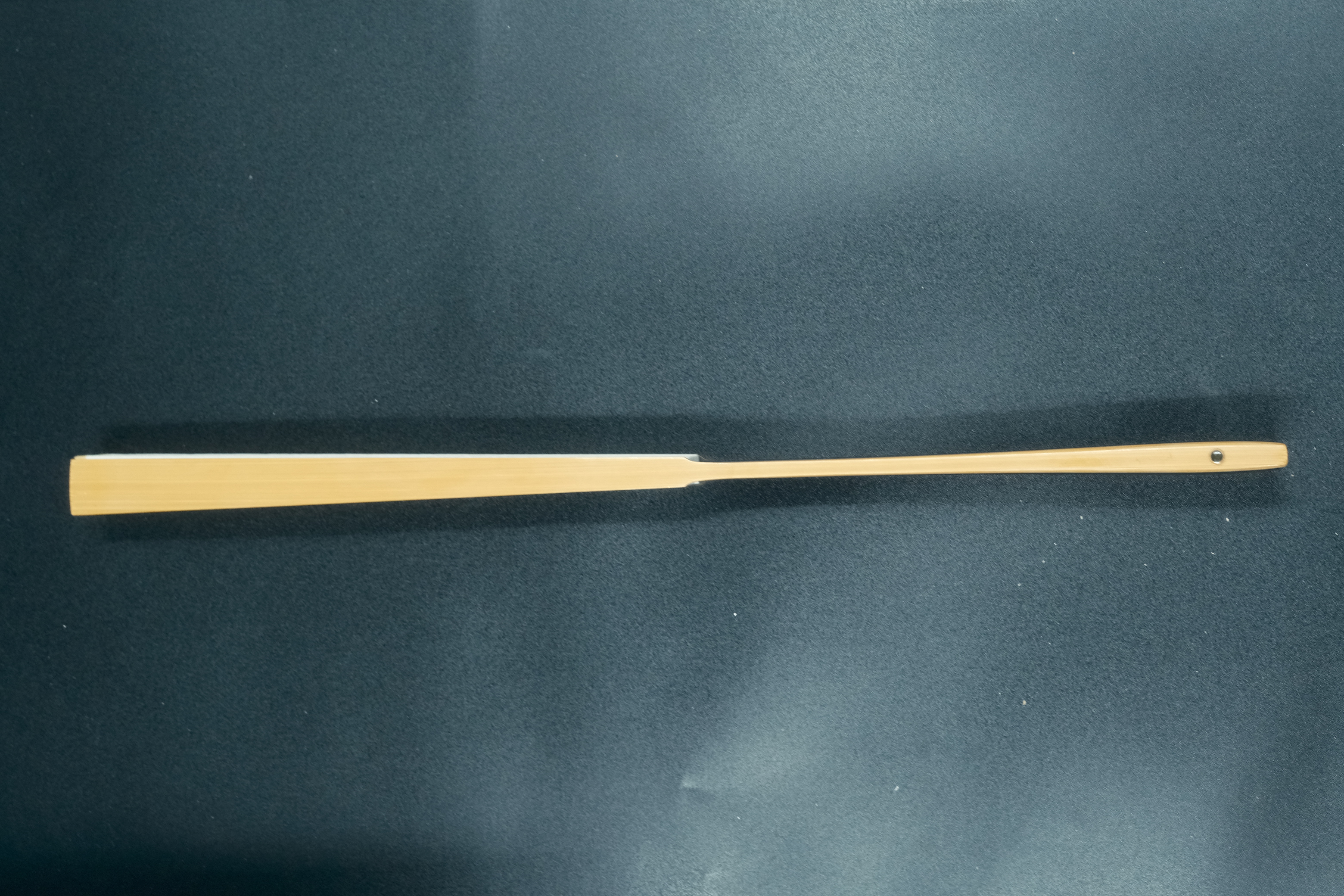 沈汝锋老师玉竹明燕