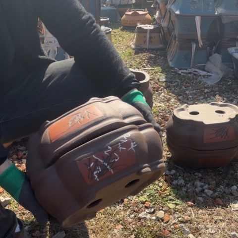 紫砂花盆紫砂花盆盆景盆栽瑕疵