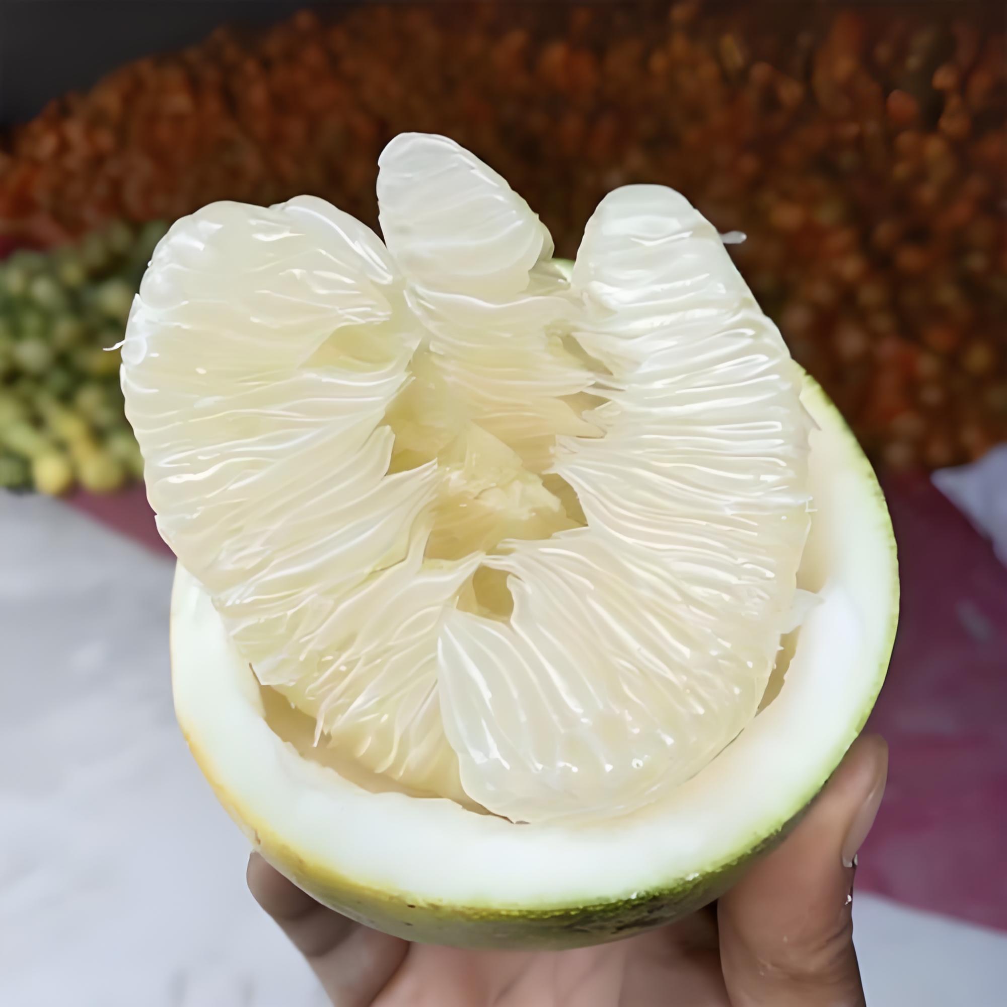 雪峰老树小土柚冰糖柚新鲜多汁水果包邮5斤起/包邮