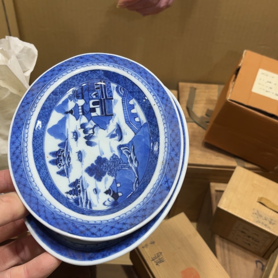 树*火爆热卖热门茶茶茶