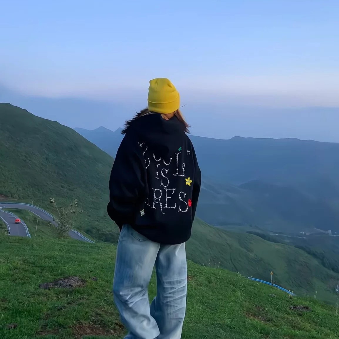 B4-4 小花刺绣正方反钉珠卫衣