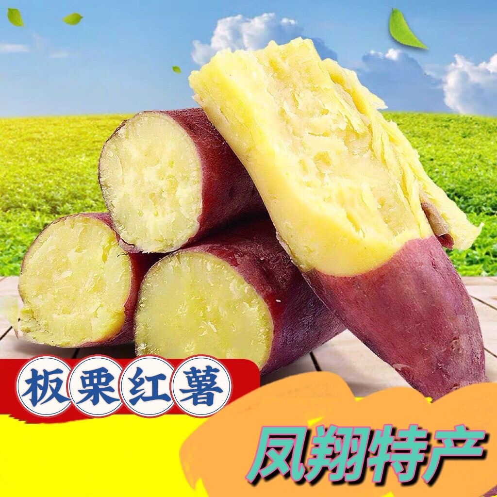 虢王镇板栗红薯超甜
