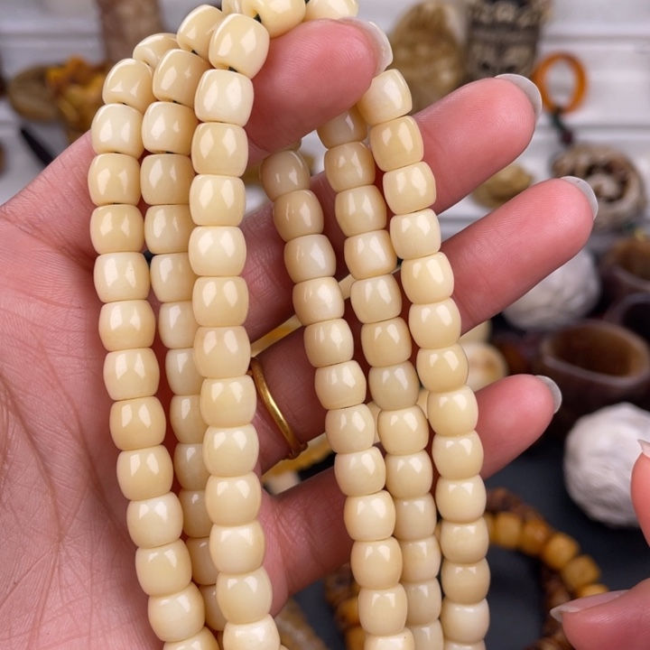 驼骨其他骆驼骨直切8/7