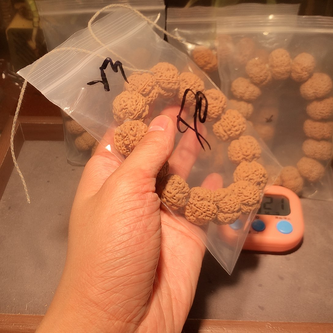 金刚菩提手串g****f23。     