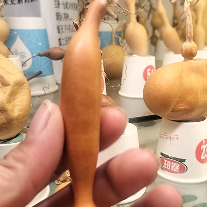 ****~一代蚂蚁通货葫芦