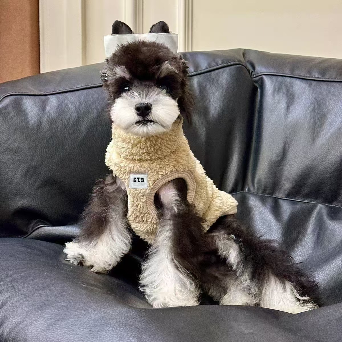 狗狗衣服秋冬保暖加绒加厚背心西高地雪纳瑞比熊新款宠物加绒保暖