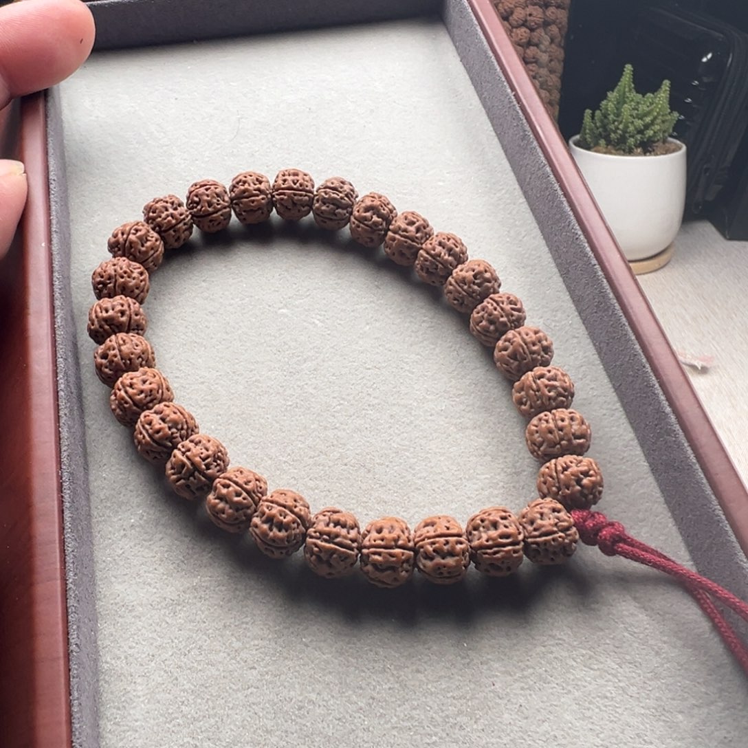 金刚菩提手串勿里达老树王手持
