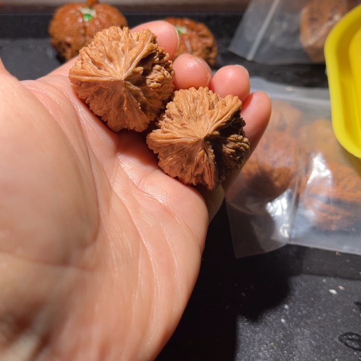 龙脊菩提吊坠三棱