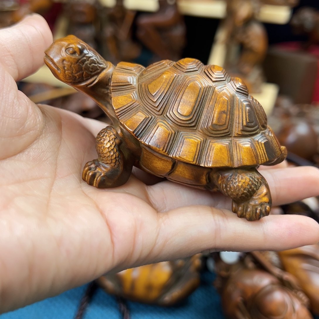 黄杨木小叶黄杨木