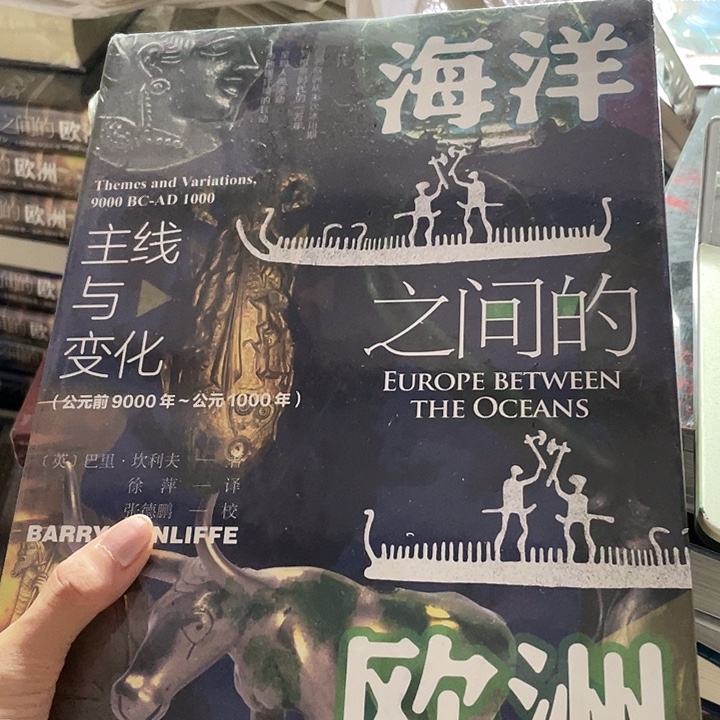 海洋之间的欧洲：微瑕