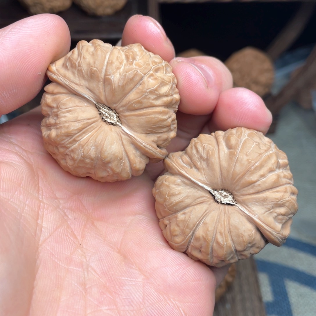 文玩核桃把件42毕业高货南瓜墩