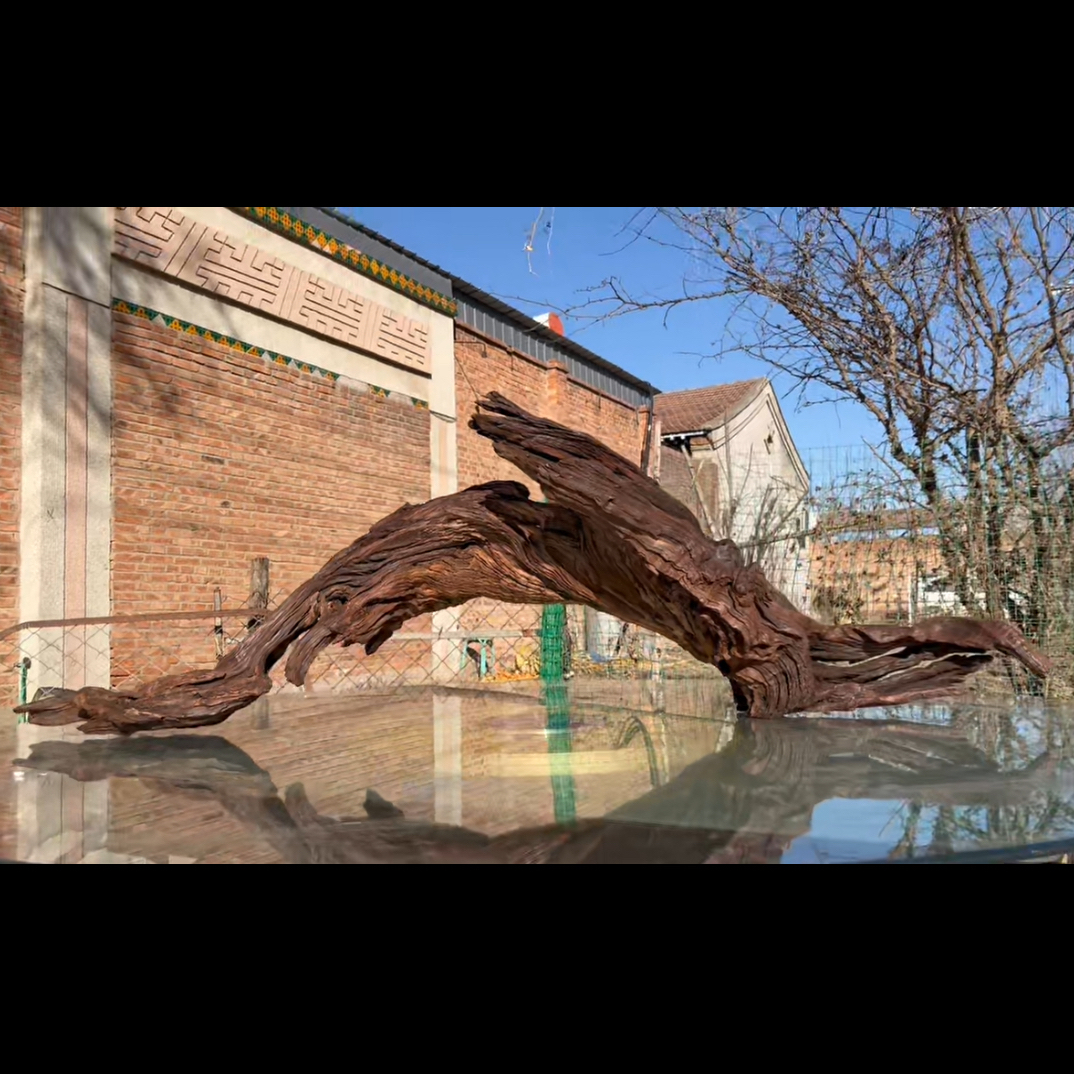 尺寸：126✖️27✖️39，鱼缸造景沉木摆件，紫柚木，秒沉水，包煮，南美缸