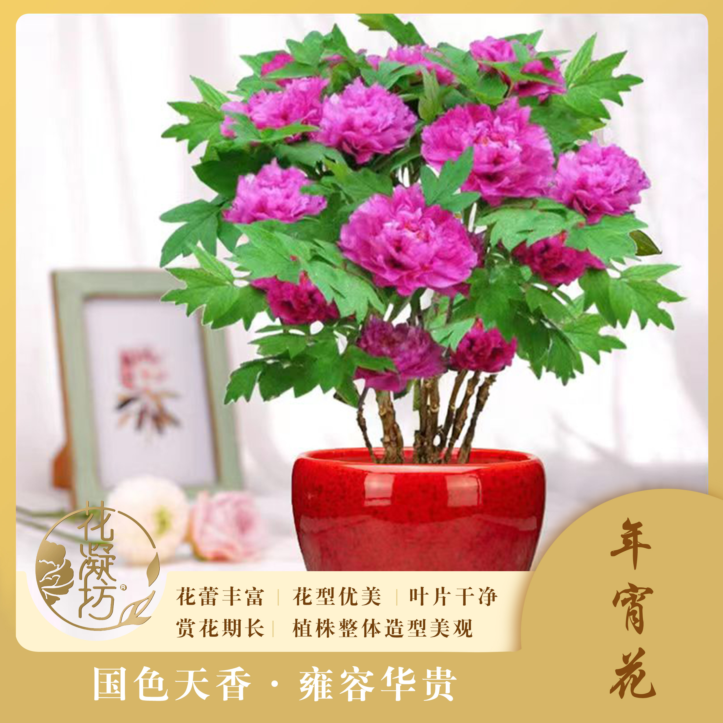 花凝坊【牡丹礼品花卡】洛阳牡丹礼品文化