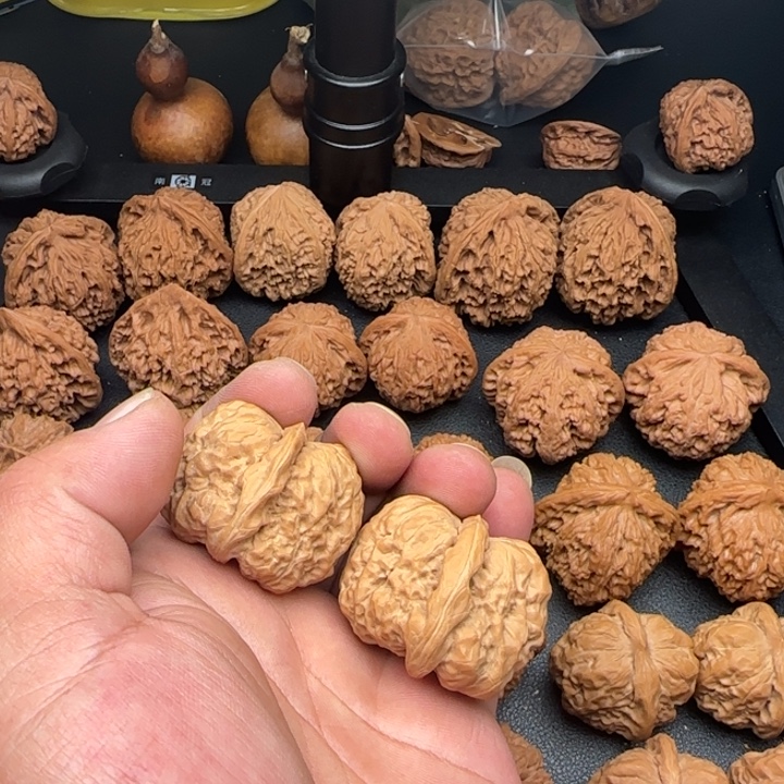 42尺蛤蟆头大凹底