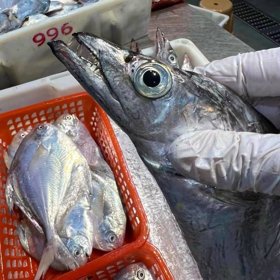 小眼睛油带鱼拍5斤送1斤到手6斤/1斤3条顺丰包邮b
