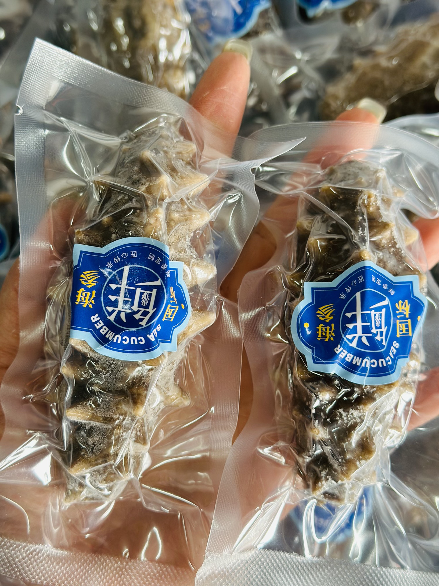 即食海参  大连刺参 口感好 营养价值高 鲜食刺参 无冰衣