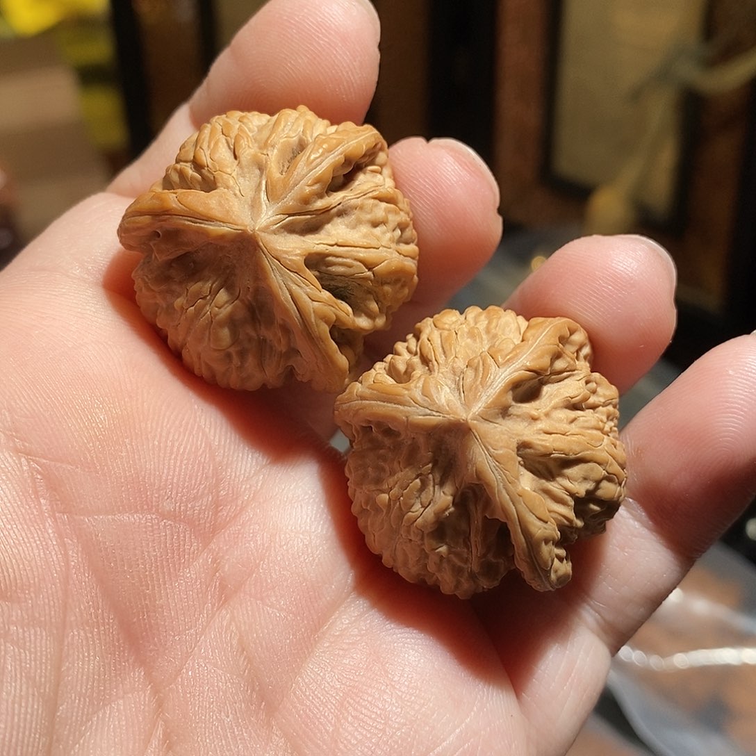 文玩核桃把件=****35文山三棱全品