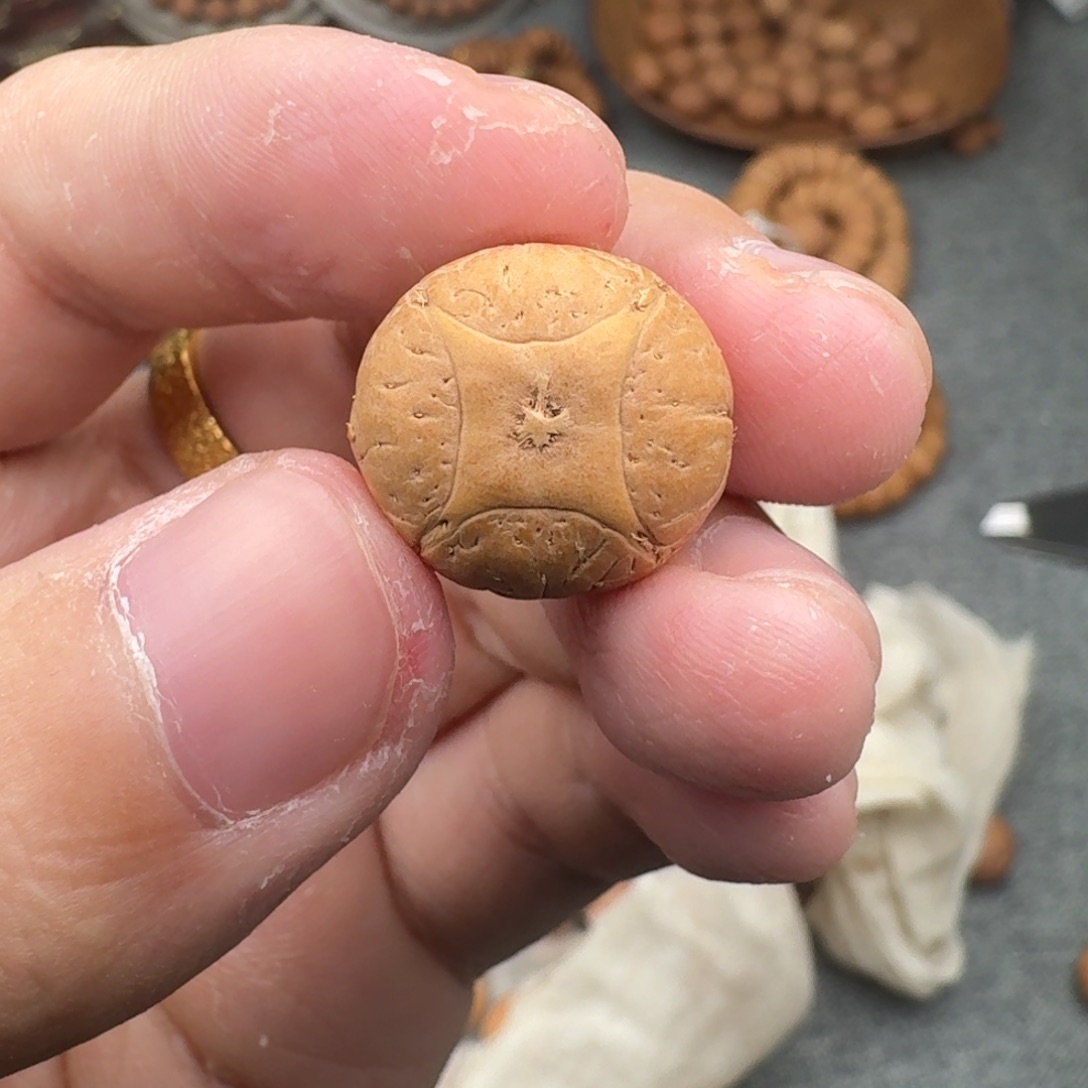 凤眼菩提吊坠17.5/14.5麒麟